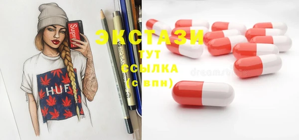 стаф Аркадак