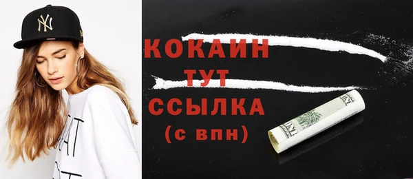 стаф Аркадак