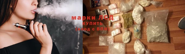 стаф Аркадак