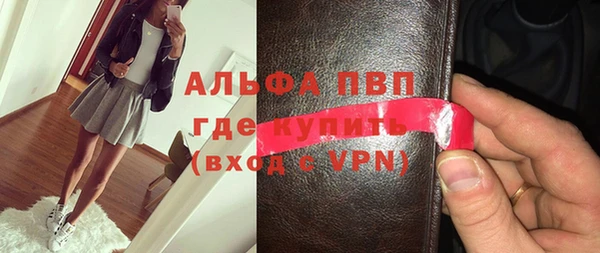 стаф Аркадак