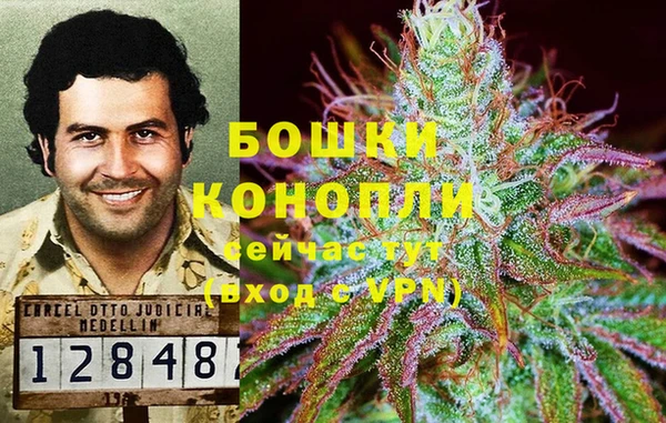 ECSTASY Армянск